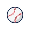 Donation - Baseball